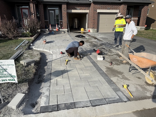 service single images